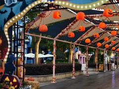 -厦门方特梦幻王国