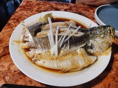南海大黄花鱼-鲜小岛·铜锅涮肉
