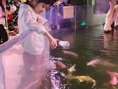 -正佳雨林生态植物园