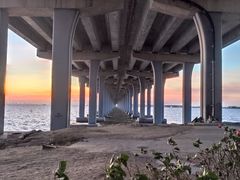 -宝安西湾红树林湿地公园