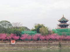 -望江楼公园