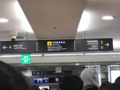 -新世界百货(明洞总店)