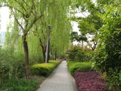 -运河游船(武林门码头)