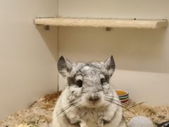 -龙猫仔乐园(惠福东路店)