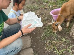 -马陆小张葡萄园农家乐