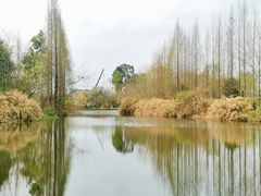 -桤木河湿地公园