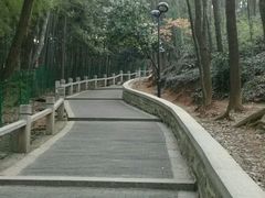 -灵岩山风景区