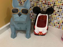 -戊辰亲子游泳俱乐部