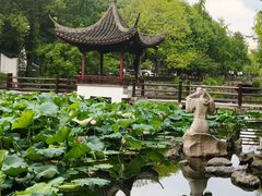 -范蠡湖公园