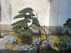 -走马楼饭庄(慈城古县城店)