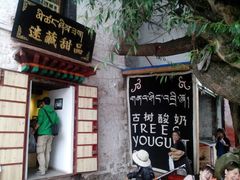 -古树酸奶(八廓南街店)