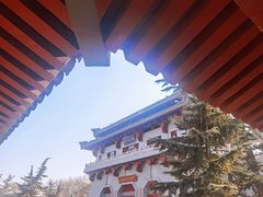 -金城公园