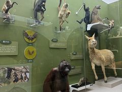 -国家自然博物馆