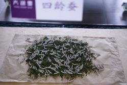 -太湖雪蚕桑文化园