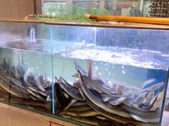水产区-本炙炭烤·蒲烧活鳗料理店(金沙洲店)