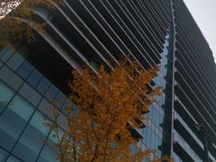 -凯德广场(西城店)