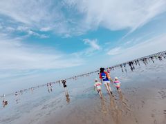 -南汇嘴观海公园