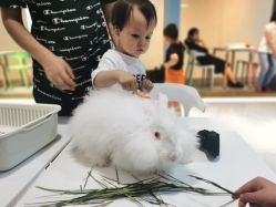 -Moni星球萌宠·小马宝莉·灵蛇·高端高阶全萌宠互动体验俱乐部(红豆国际广场店)