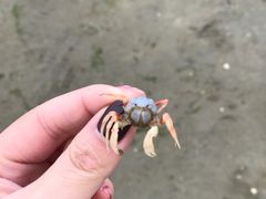 -北海金海湾红树林生态旅游区