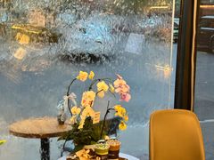 -星宙咖啡STELLARIS CAFE(广告产业园店)