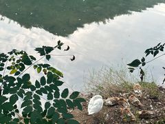-鹿亭中村