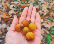 -上海海事大学(临港校区)