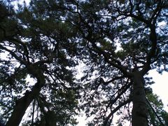 -香山公园