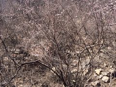 -辛玛王国游乐园