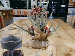 -Torch Coffee 炬点咖啡