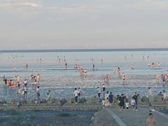 -南汇嘴观海公园