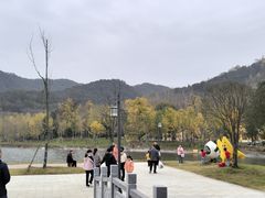 -千年银杏谷文化旅游区