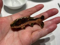 -阿五黄河大鲤鱼(建业路店)