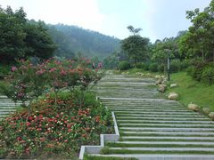 -火炉山森林公园