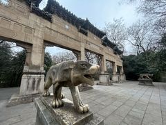 -灵谷景区