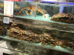-超级物种·波龙工坊(国贸店)