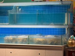 -华府九号海鲜烧烤大排档(龙域店)