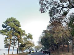 -东湖磨山景区