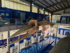 -上海海洋大学鱼文化博物馆(军工路校区)