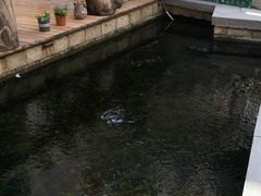 -泉乐坊步行街(烟酒特产平价超市店)