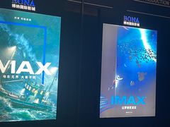 -博纳国际影城IMAX(中央大道店)