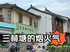 -三林塘老街