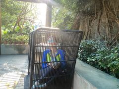 -华侨城阳宗海海景温泉