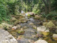 -南海湾森林生态园