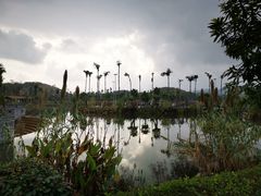 -枫香湖儿童公园