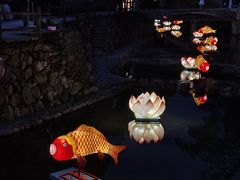 -布袋山风景区