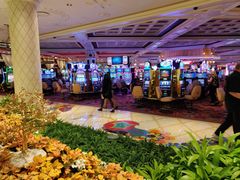 -拉斯维加斯永利酒店