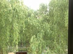 -IFIF 如果花園(宽厚里店)