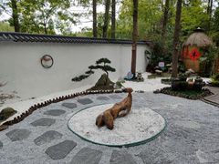 -东平国家森林公园