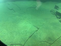 -白鹤梁水下博物馆