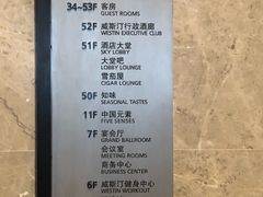 菜单-解放碑威斯汀酒店-知味国际美食餐厅